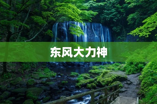 东风大力神：中国重卡领域的领军者