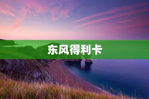 东风得利卡:卡车行业的领跑者 东风得利卡:卡车行业的领跑者