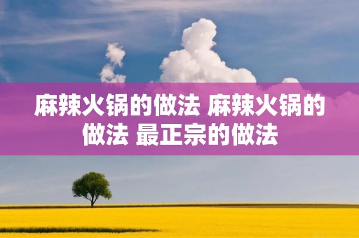 麻辣火锅的做法 麻辣火锅的做法 最正宗的做法