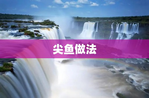 尖鱼做法:美味可口的佳肴 尖鱼做法:美味可口的佳肴