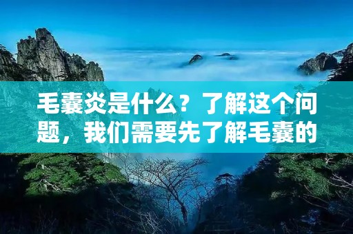 毛囊炎是什么?了解这个问题,我们需要先了解毛囊的作用。毛囊是人体皮肤上的小结构,它们的作用是支撑、滋养和保护毛发。毛囊炎是一种由细菌、真菌或病毒感染引起的毛囊炎症,它通常表现为皮肤上的红色、痒痛、发疹子、脓疱和瘙痒等症状。 毛囊炎是什么?了解这个问题,我们需要先了解毛囊的作用。毛囊是人体皮肤上的小结构,它们的作用是支撑、滋养和保护毛发。毛囊炎是一种由细菌、真菌或病毒感染引起的毛囊炎症,它通常表现为皮肤上的红色、痒痛、发疹子、脓疱和瘙痒等症状。