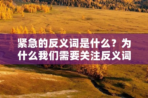 紧急的反义词是什么?为什么我们需要关注反义词?