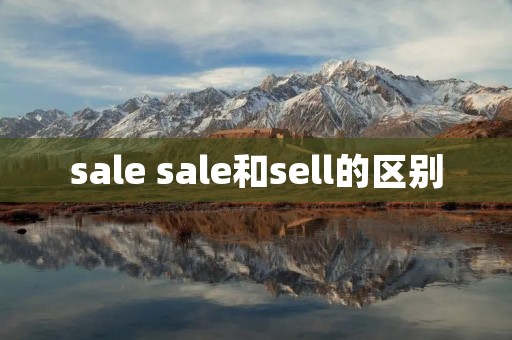 sale sale和sell的区别