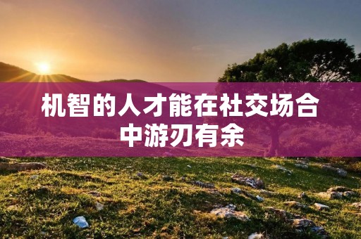 机智的人才能在社交场合中游刃有余