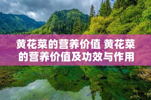 黄花菜的营养价值 黄花菜的营养价值及功效与作用 黄花菜的营养价值 黄花菜的营养价值及功效与作用