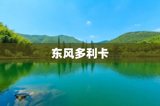 东风多利卡:低油耗高扭矩的优秀商用车 东风多利卡:低油耗高扭矩的优秀商用车