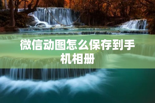 微信动图怎么保存到手机相册