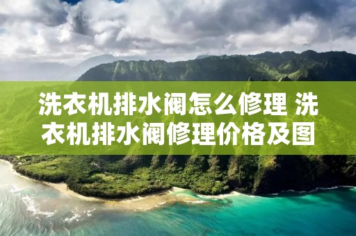 洗衣机排水阀怎么修理 洗衣机排水阀修理价格及图片