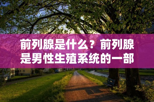 前列腺是什么?前列腺是男性生殖系统的一部分,它位于膀胱下方,环绕尿道。前列腺的主要功能是分泌液体,这种液体是精液的一部分,它能够促进精子的存活和运动。前列腺的大小和形状因人而异,但通常是像栗子一样大小和形状的。
