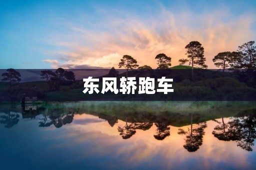 东风轿跑车：时尚与性能的完美结合