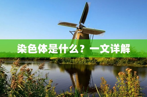 染色体是什么?一文详解