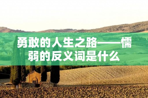 勇敢的人生之路——懦弱的反义词是什么