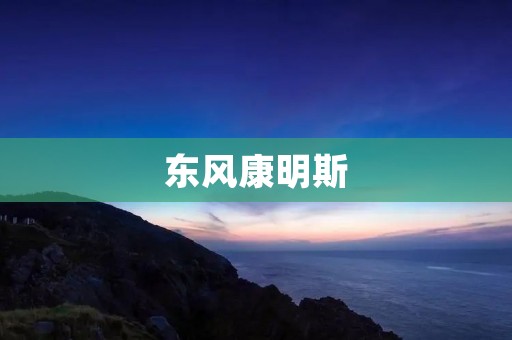 东风康明斯:推动中国动力源产业的发展 东风康明斯:推动中国动力源产业的发展