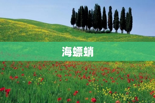 海螵蛸:大海中的奇妙生物