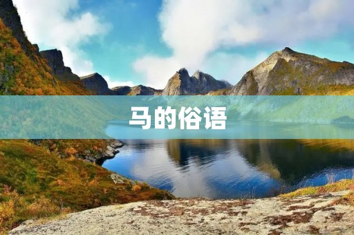 马的俗语:从马背上看世界