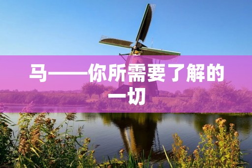 马——你所需要了解的一切