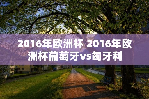 2016年欧洲杯 2016年欧洲杯葡萄牙vs匈牙利 2016年欧洲杯 2016年欧洲杯葡萄牙vs匈牙利