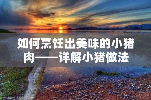 如何烹饪出美味的小猪肉——详解小猪做法
