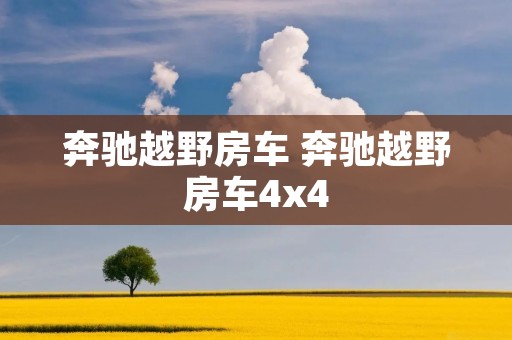 奔驰越野房车 奔驰越野房车4x4