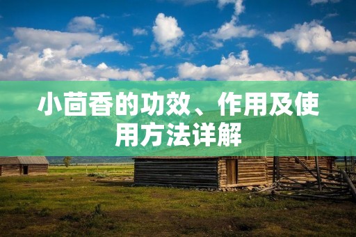 小茴香的功效、作用及使用方法详解