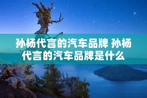 孙杨代言的汽车品牌 孙杨代言的汽车品牌是什么