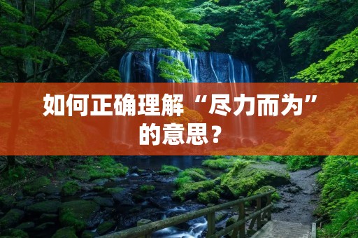 如何正确理解“尽力而为”的意思?