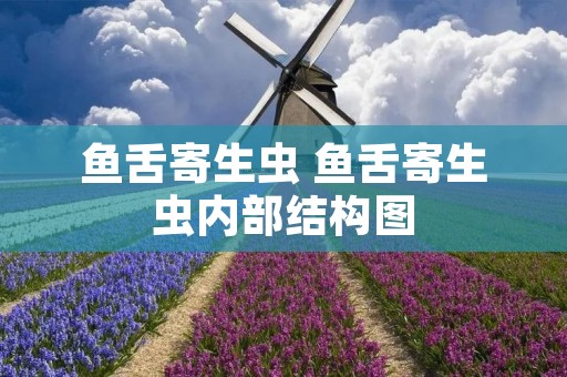 鱼舌寄生虫 鱼舌寄生虫内部结构图 鱼舌寄生虫 鱼舌寄生虫内部结构图
