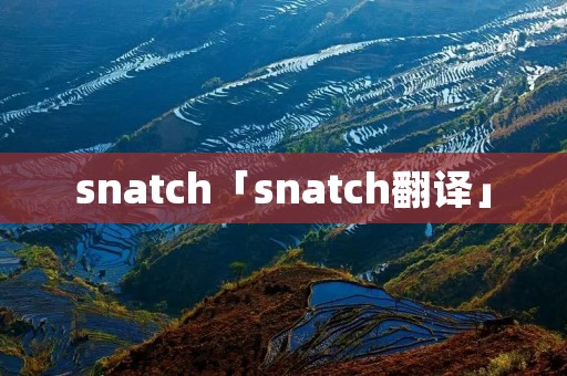 snatch「snatch翻译」 snatch「snatch翻译」