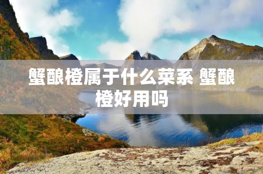蟹酿橙属于什么菜系 蟹酿橙好用吗