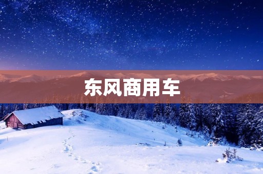 东风商用车:打造高品质商用车的领军品牌 东风商用车:打造高品质商用车的领军品牌