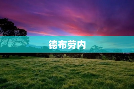 德布劳内:音乐史上的天才 德布劳内:音乐史上的天才
