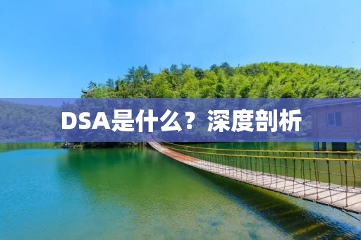 DSA是什么?深度剖析
