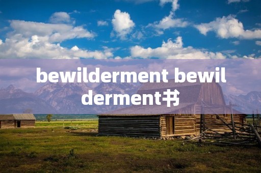 bewilderment bewilderment书