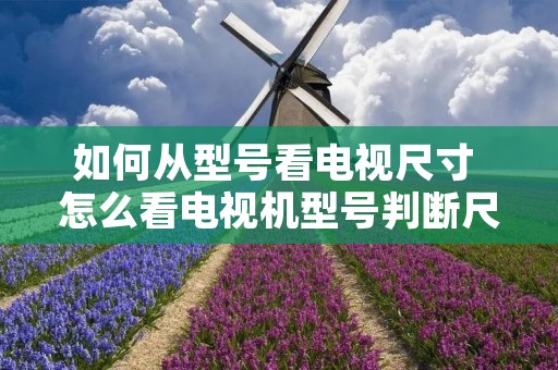 如何从型号看电视尺寸 怎么看电视机型号判断尺寸