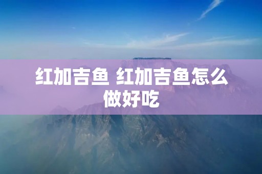 红加吉鱼 红加吉鱼怎么做好吃 红加吉鱼 红加吉鱼怎么做好吃