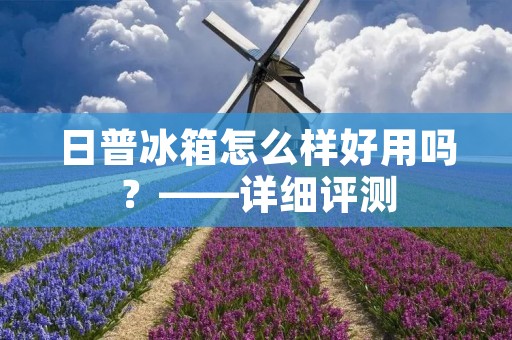 日普冰箱怎么样好用吗？——详细评测