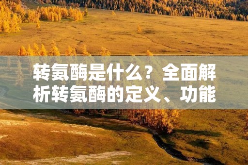 转氨酶是什么?全面解析转氨酶的定义、功能和检测方法