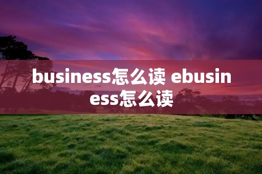 business怎么读 ebusiness怎么读
