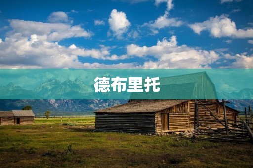 德布里托：拒绝规则束缚的艺术