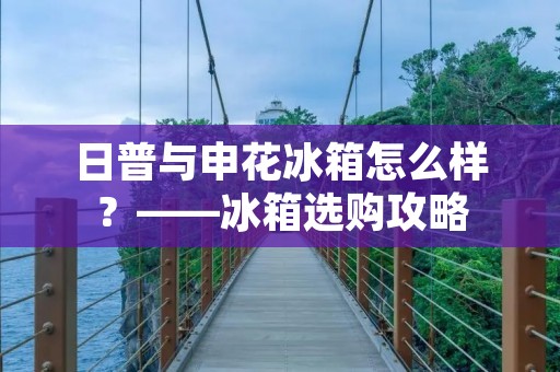 日普与申花冰箱怎么样？——冰箱选购攻略