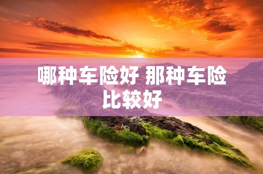 哪种车险好 那种车险比较好