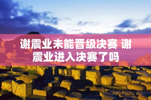 谢震业未能晋级决赛 谢震业进入决赛了吗 谢震业未能晋级决赛 谢震业进入决赛了吗