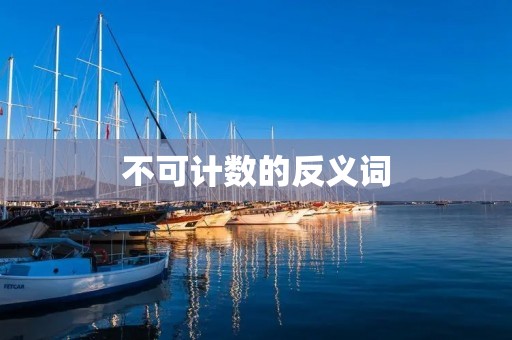 不可计数的反义词:可计数