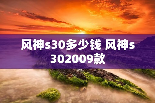 风神s30多少钱 风神s302009款