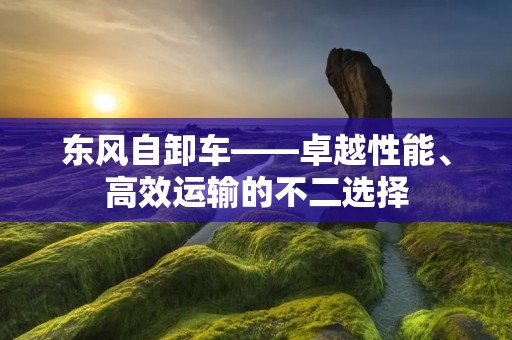 东风自卸车——卓越性能、高效运输的不二选择