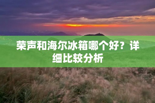 荣声和海尔冰箱哪个好?详细比较分析 荣声和海尔冰箱哪个好?详细比较分析