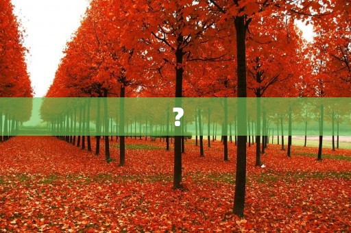 ?