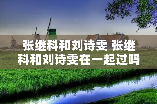 张继科和刘诗雯 张继科和刘诗雯在一起过吗