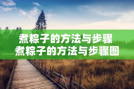 煮粽子的方法与步骤 煮粽子的方法与步骤图片 煮粽子的方法与步骤 煮粽子的方法与步骤图片