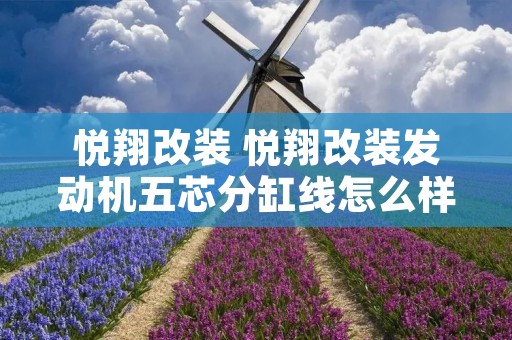 悦翔改装 悦翔改装发动机五芯分缸线怎么样 悦翔改装 悦翔改装发动机五芯分缸线怎么样